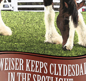 Ebook: Budweiser Keeps Clydesdales in the Spotlight